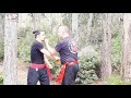 Traditional Wing Chun Master Don Schouten Gun Disarming