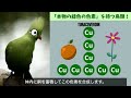 動物の色に隠された驚きの秘密！｜本当に青い動物はいるの？