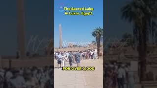 Discover The Sacred Lake in Luxor, Egypt – Hidden Gem! #shorts #TheSacredLakeLuxo