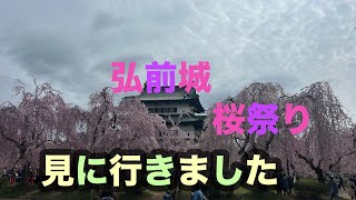 弘前城  桜祭りに行ってみました。