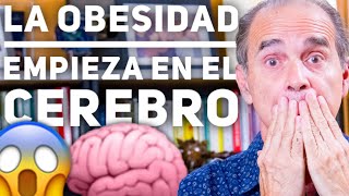 Episodio #1914 La Obesidad Empieza En El Cerebro