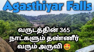 அகத்தியர் அருவி பாபநாசம் 🤩🍃 |  agasthiyar falls Papanasam🍃🍂 Tirunelveli