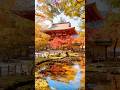 Fall foliage in Nara, Muroji temple (Uda city) ② #autumn #japan #pagoda #temple #mountains