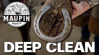 Incredibly Satisfying Horse Hoof Transformation | Farrier ASMR