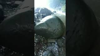 瀧川神社で撮影したら❗️