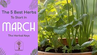 The March Starter: Five Essential Herbs to Sow for the Spring Equinox