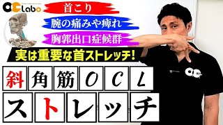 【首こり】腕の痛みや痺れの改善に役立つ斜角筋OCLストレッチ！胸郭出口症候群の人も必見です！