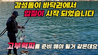 #감성돔 바닥공략  준비 하새요^^(갯바위 낚시의 채비법및  포인트 설명)