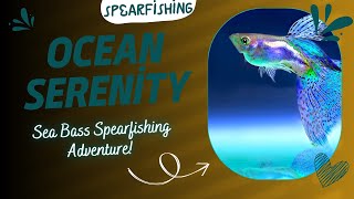 Serenity Below: Spearfishing for Sea Bass, Unforgettable Encounters with a Caravan Adventure!