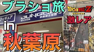 【ブラショ旅】聖地！秋葉原！激レアフィギュア発見！？#ドラゴンボール #ドラゴンボールフィギュア #ドラゴンボール超スーパーヒーロー #一番くじ #一番くじドラゴンボール #フィギュア #ブラショ