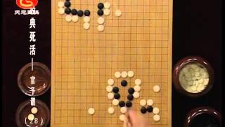 方天丰围棋经典死活：官子谱28