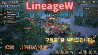 緊急メンテナンスが明けた　LineageW,リネージュW,天堂W,리니지W