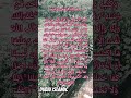 last 2 ayat of surah Al-Baqarah #religion #islamicvideo #islamicstatus #islamicshorts islam