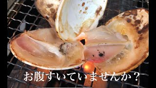 【最高の時間】ただ一人で焼いて食べる　ハマグリ