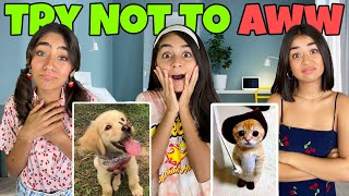 Try Not To Aww Challenge TikTok | GEM Sisters