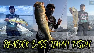 Timah Tasoh Heaven Lake Peacock Bass Malaysia