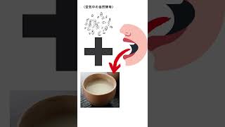 雑学唾液で作る飲み物？口嚙み酒の歴史#shorts