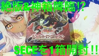 サイヤの遊戯王開封 神箱降臨‼︎ザ・シークレット・オブ・エボリューションを1箱開封