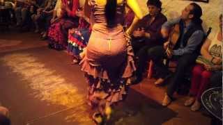Flamenco Dance by Spanish Gypsies Part 1