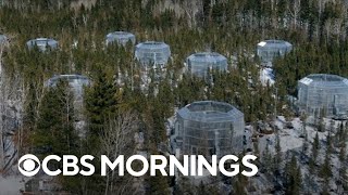 Experimental forest shows impacts of climate change scenarios