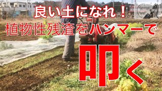 【自然栽培の土作り】秋・冬野菜、収穫終了後の粉砕🥬腐食＆保肥力の足りない第２圃場の菊芋残渣ハンマー掛け 【家庭菜園】