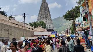 அண்ணாமலையாரை தரிசிக்க 6 மணி நேரமா? மிக நீண்ட வரிசையில் காத்திருக்கும் பக்தர்கள்.