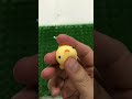 SO CUTE! CHICK Squishy Toy Mini Animal Antistress Ball Squeeze Rising Fidget Mochi #shorts #squishy