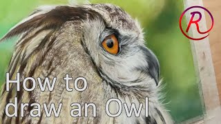 How to draw an owl... in pastel