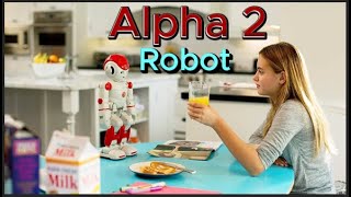 Alpha 2, a Humanoid Robot With Social Skills, Can Alpha 2 Robot respond to voice commands?