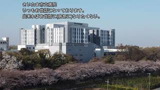 見沼たんぼ桜回廊 2021.3.24 さいたま市立病院方面