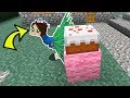 Minecraft: PEACOCK HIDE AND SEEK! - BEATING POPULARMMOS