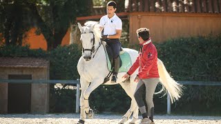 Lusitano International Dressage Team Clinic