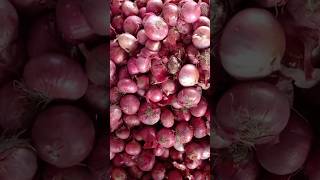 भोपाल करोंद मंडी शनिवार 21/9/2024 प्याज के नीलामी के होलसेल रेट #onion #2024 #farming #farming #2024