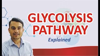 GLYCOLYSIS PATHWAY EXPLAINED