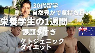 【留学vlog】課題忙しすぎのストレスをオーストラリアの自然で癒やす30代栄養学生の1週間