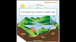 COMPARING CARBON LOADS LAB || Lab Guide || Edgenuity