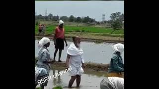 nandipet Maharaj at field  # RSRR channel ##