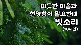 사랑스런 당신의 마음을 다독여주는 빗소리ㅣ10분 후 어두운 화면ㅣ이명 치료 효과ㅣ명상, 집중, 공부, whitenoise