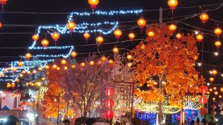 Celebrate The Year Of 2020 Chinese New Year Party Lighting Festival From Malaysia at Jementah