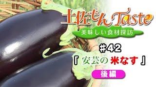 【DiamondDining Channel】　「土佐もんＴａｓｔｅ」　安芸の米なす　後編　#42