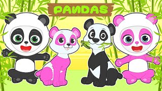 BEBÊS ALEX E LILY 🐼 Disfarces de Ursos Panda