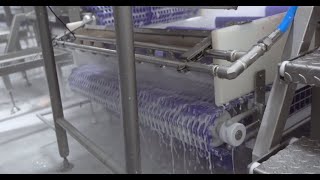 QJS Automatic Cleaning & Disinfection Systems in Fish Processing Factory