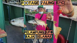 Mullet Fishing / Tamok / Belanak Ekor Kuning Guna Teknik Pelampung UFO