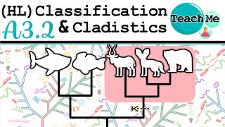 (A3.2) - Classification \u0026 Cladistics (HL) - IB Biology