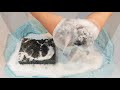 Recycled Powder and Hot Water 💙 Sponges Squeezing ASMR