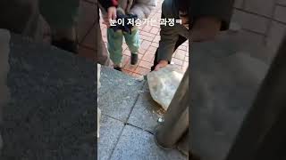 눈이 죽는장면 어린이는 보지마세요(9세이상)?