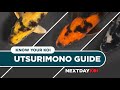 Utsurimono Koi Fish: Hi, Ki, Shiro Utsuri | Know Your Koi Episode 2 | Next Day Koi