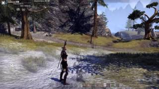 ESO - How to Speed get Lich Gear and General Executioner achievement