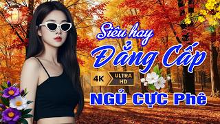 Ca Nhạc Bolero Trữ Tình Tâm Trạng 2026 ➤ Tuyển Chọn Nhạc Vàng Hay Nhất - Cực Êm Tai DỄ NGHE DỄ NGỦ