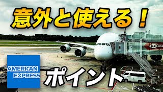 【サーチャージ節約】アメックスポイントを使ってANAよりお得に海外に行く方法！